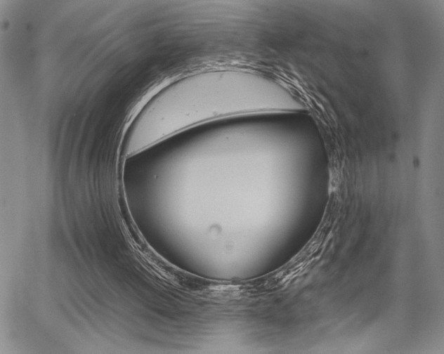 X0000067930052200604131116