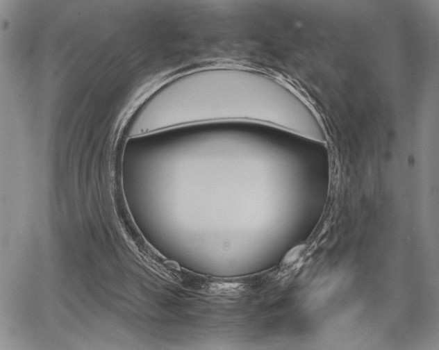 X0000067930055200604131116