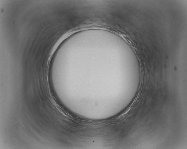 X0000067930056200604131116