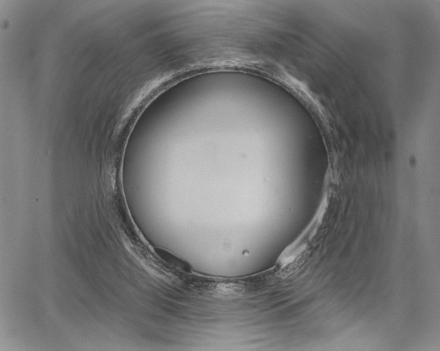 X0000067930060200604131116