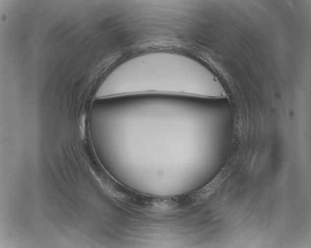 X0000067930070200604131117