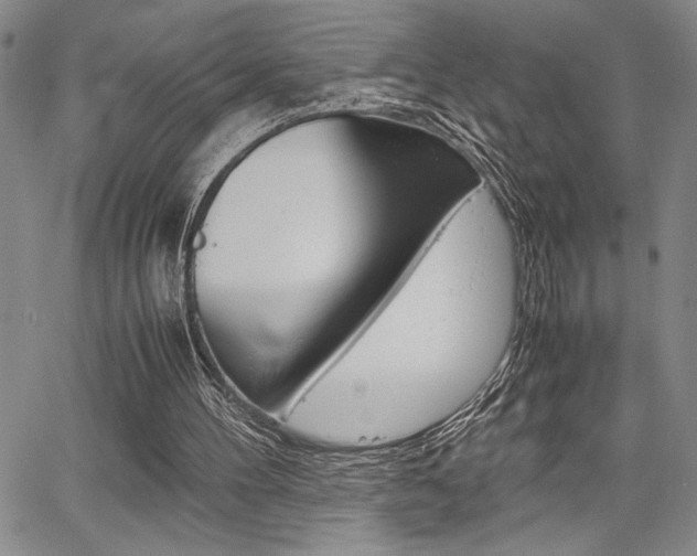 X0000067930100200604131116