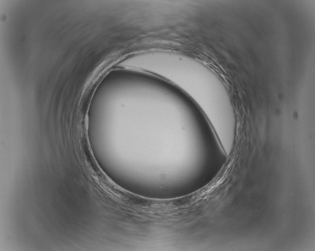 X0000067930101200604131116