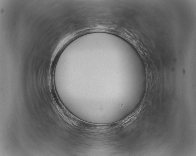 X0000067930102200604131116