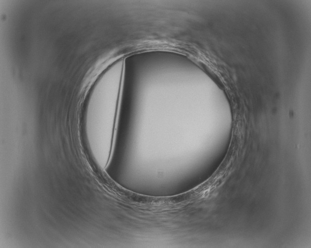 X0000067930103200604131116