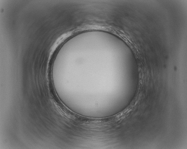 X0000067930104200604131116