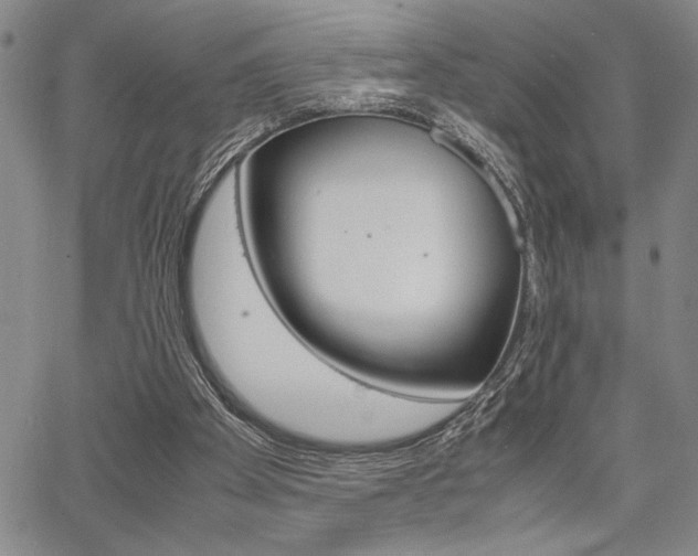 X0000067930105200604131116