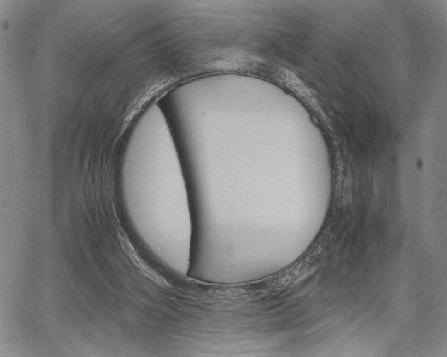 X0000067930106200604131116