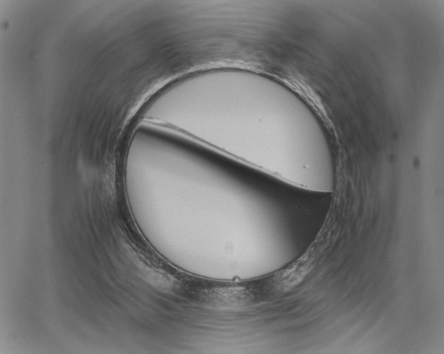 X0000067930108200604131116