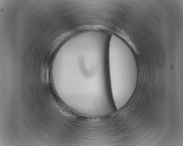 X0000067930110200604131116