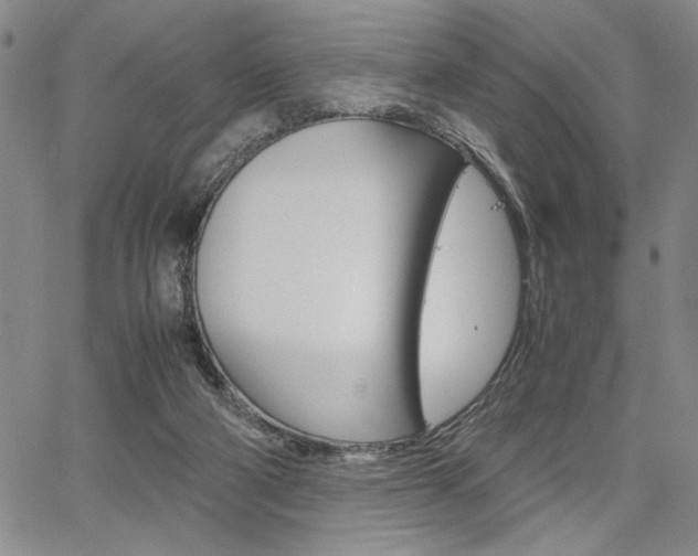 X0000067930114200604131116