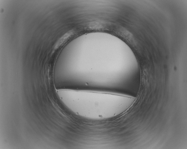 X0000067930116200604131116