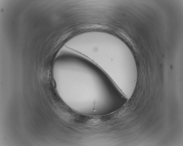 X0000067930119200604131116