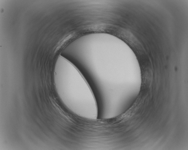 X0000067930120200604131116