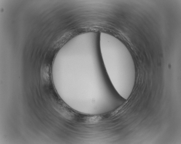 X0000067930122200604131116