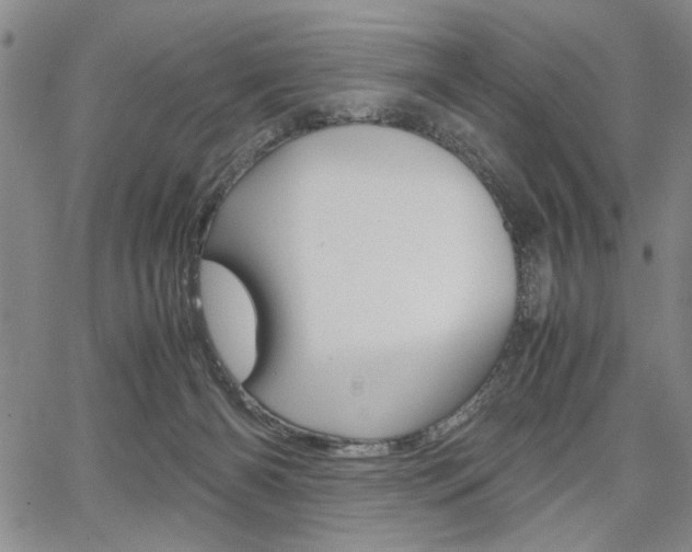 X0000067930126200604131116