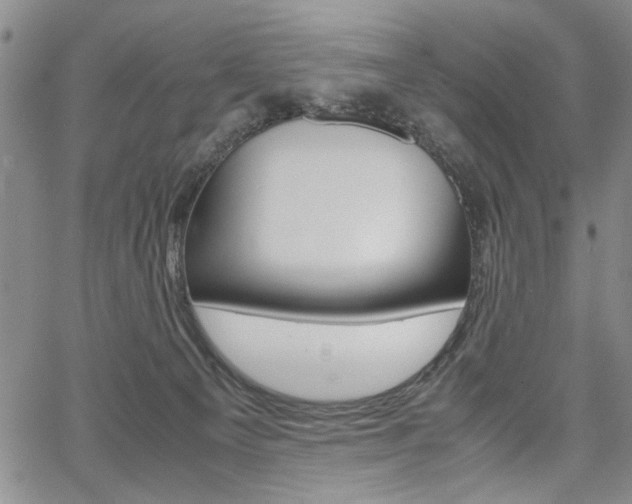 X0000067930129200604131116