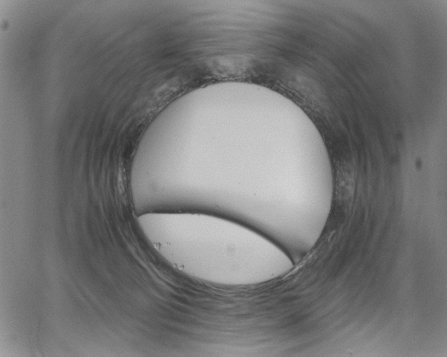 X0000067930130200604131116