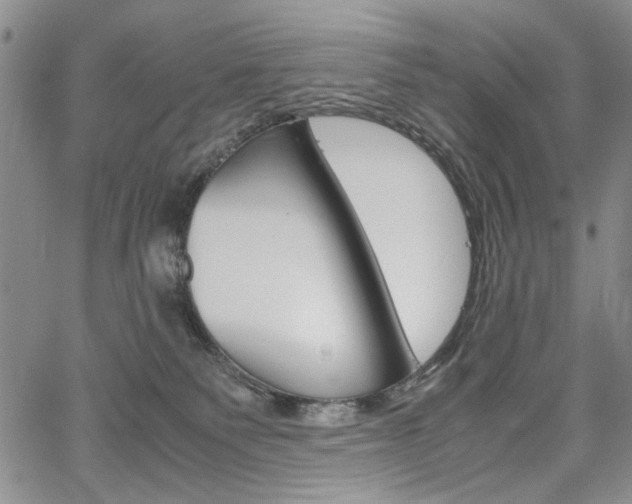 X0000067930135200604131116