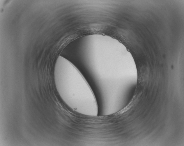 X0000067930140200604131116