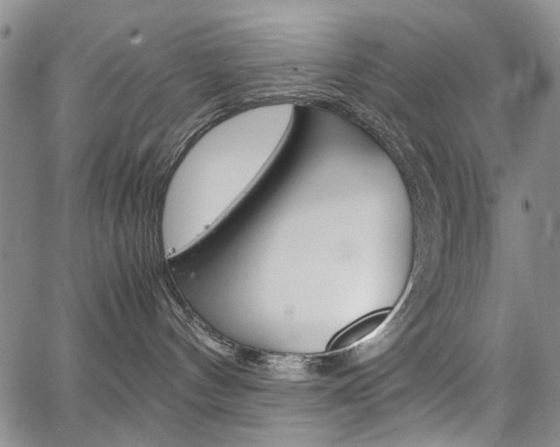 X0000067930144200604131116