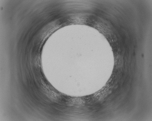 X0000067930146200604131115