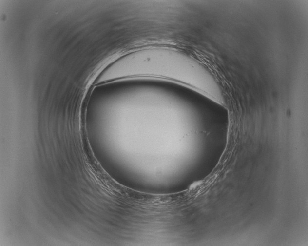 X0000067930148200604131115