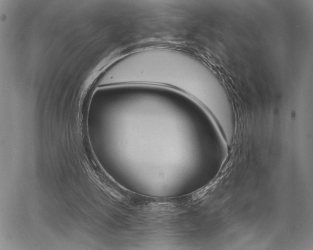 X0000067930150200604131115