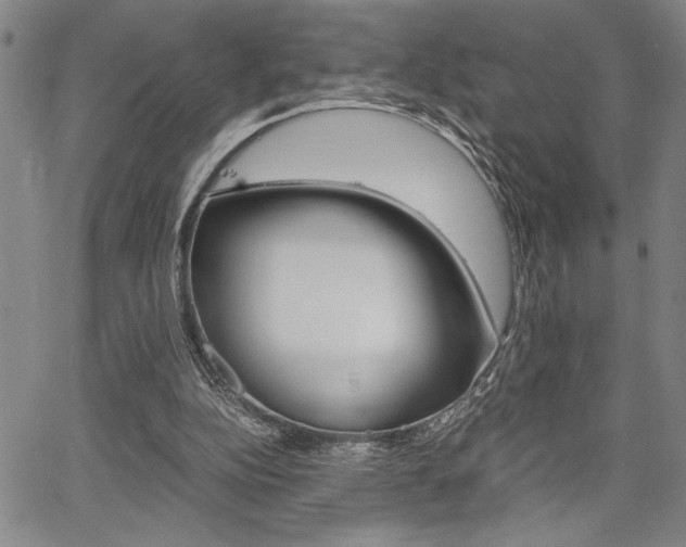 X0000067930152200604131115