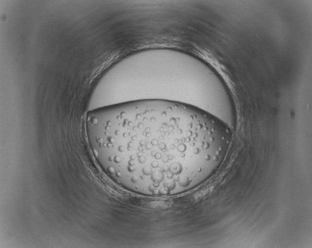 X0000067930153200604131115