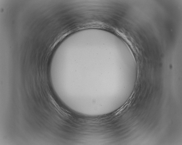 X0000067930154200604131115