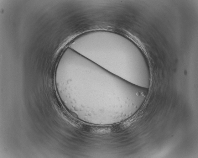X0000067930155200604131115