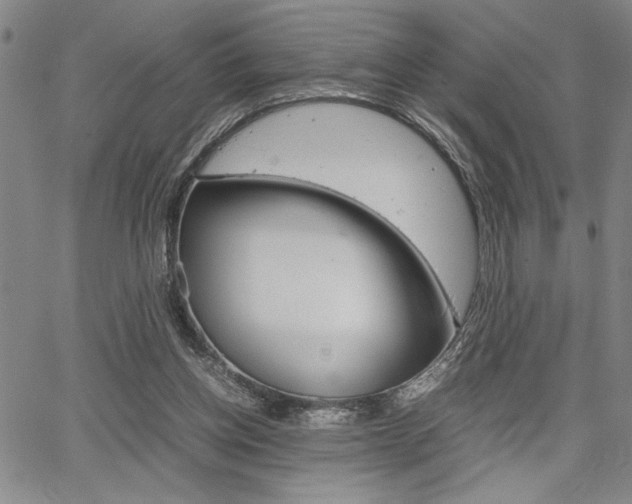 X0000067930158200604131115