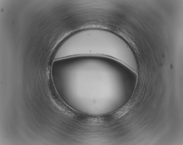 X0000067930160200604131115