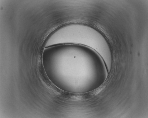 X0000067930164200604131115