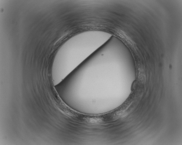 X0000067930165200604131115