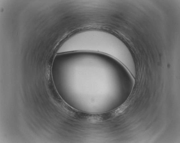 X0000067930168200604131115