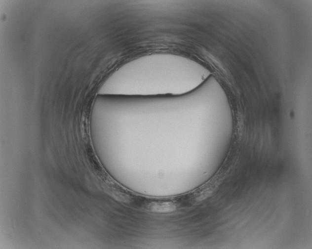 X0000067930169200604131115