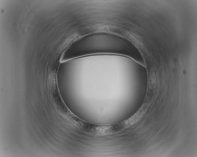 X0000067930172200604131115