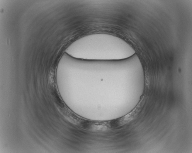 X0000067930175200604131115