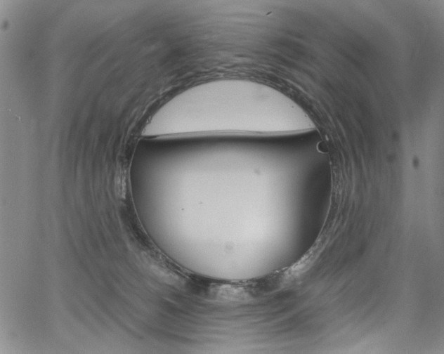 X0000067930180200604131115