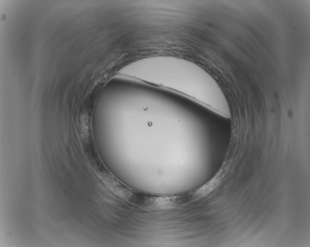 X0000067930184200604131115