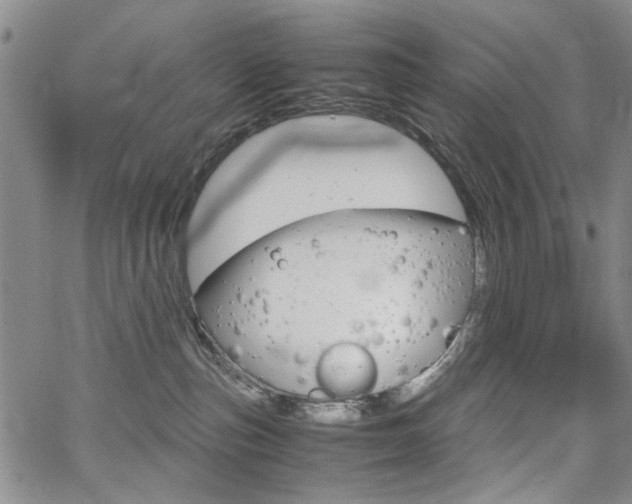 X0000067930187200604131115