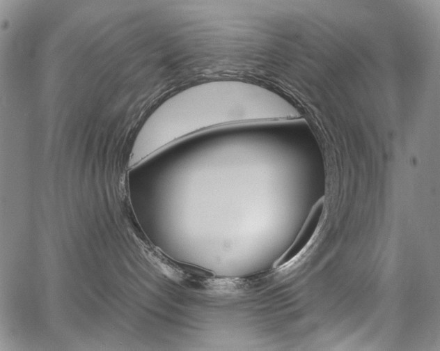 X0000067930192200604131116