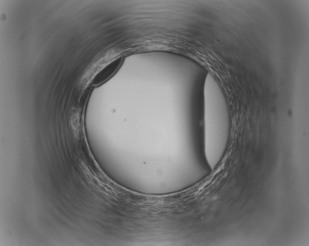 X0000067930194200604131115