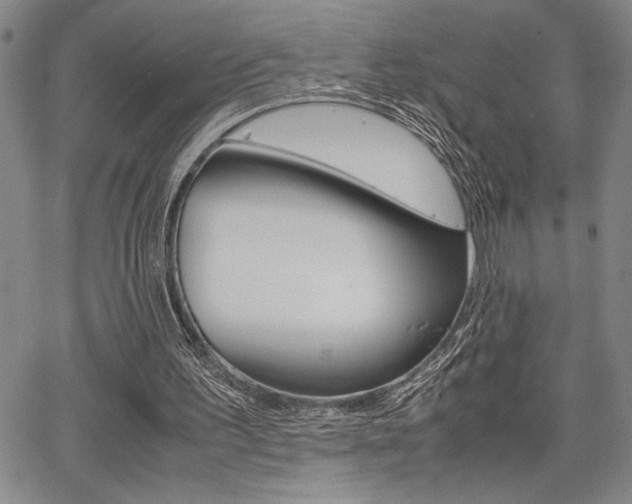 X0000067930195200604131115