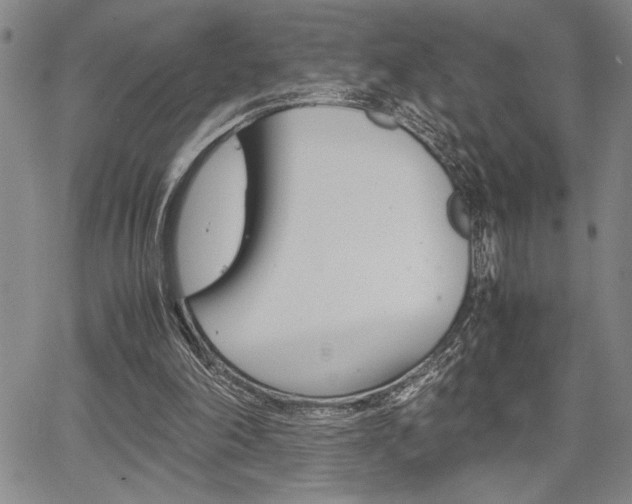 X0000067930198200604131115