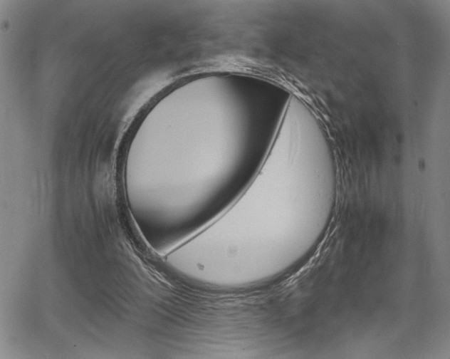 X0000067930200200604131115