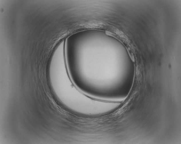 X0000067930201200604131115
