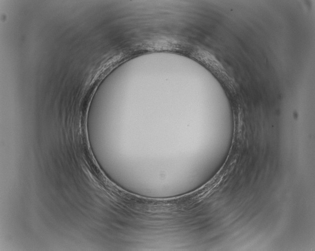 X0000067930202200604131115